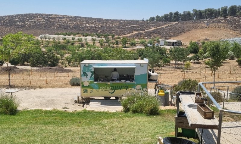 טיול בחבל הבשור: קטיף, סיורים ואתרי מורשת לכל המשפחה