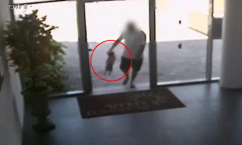 המצלמות חשפו: התעללות קשה בכלב. צפו