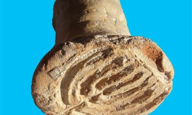 הממצא הארכאולוגי (הנוסף) שסותר את מנהג חב"ד