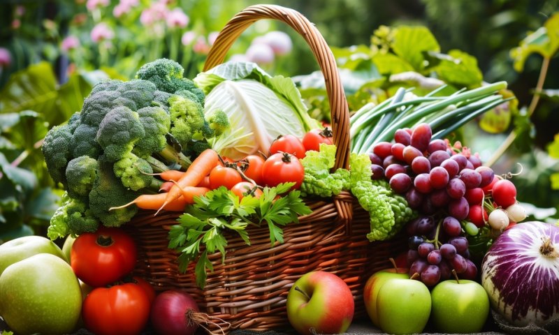 להתחיל טוב: המאכלים שהוכחו כחיוניים לפתיחת יום מוצלח