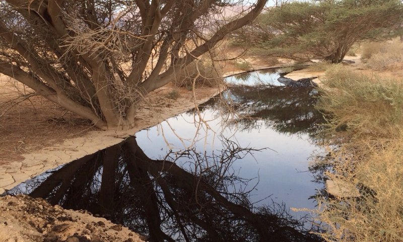 משרד הבריאות מזהיר: זיהומים בנחלי הצפון