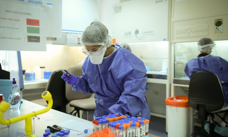 אומת חולה באבעבועות הקוף בירושלים