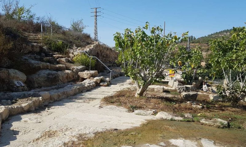הגן הלאומי עין חניה בירושלים יפתח בחוה"מ סוכות