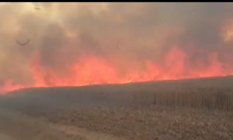 קטסטרופה בדרום: 9 שריפות במקביל בעוטף עזה