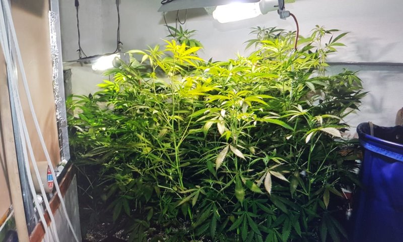 מעבדת סמים בליבה של שכונה חרדית בירושלים