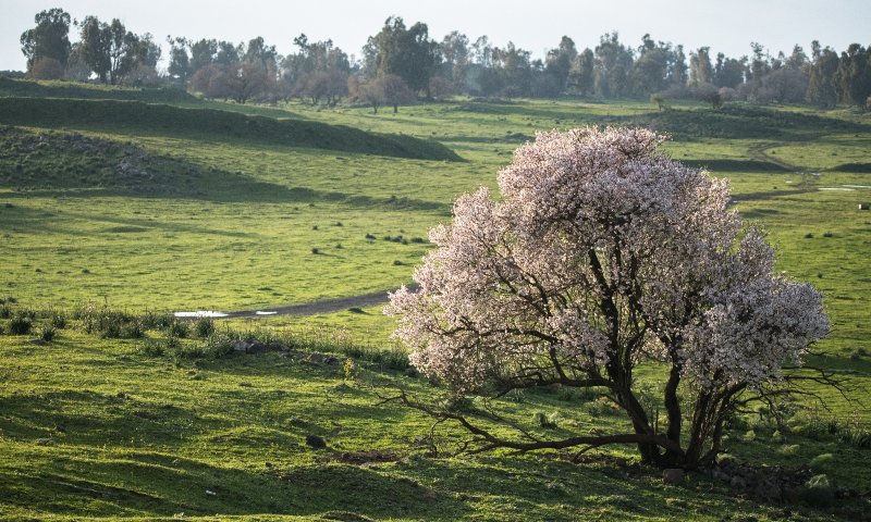 חם ויבש; בהמשך &ndash; התקררות: תחזית מזג אוויר לשבוע הקרוב