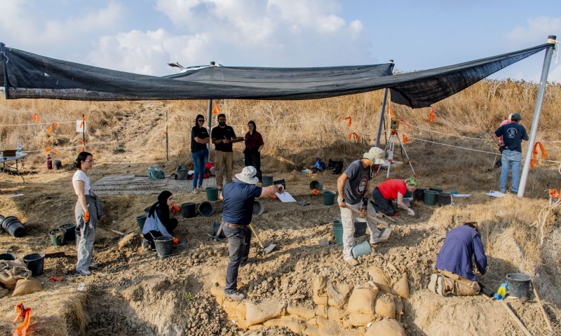 תגלית נדירה בדרום: חט של פיל מלפני חצי מיליון שנה