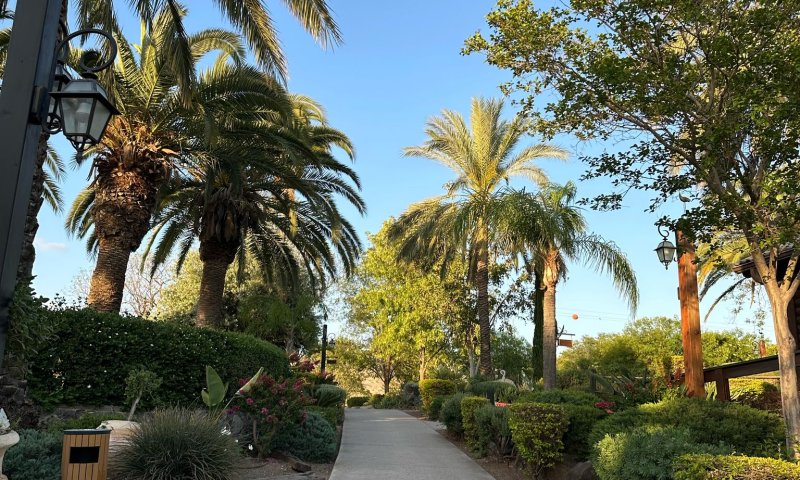 מלון כפר הנופש רמות &ndash; חוויה מדהימה עם נוף משגע