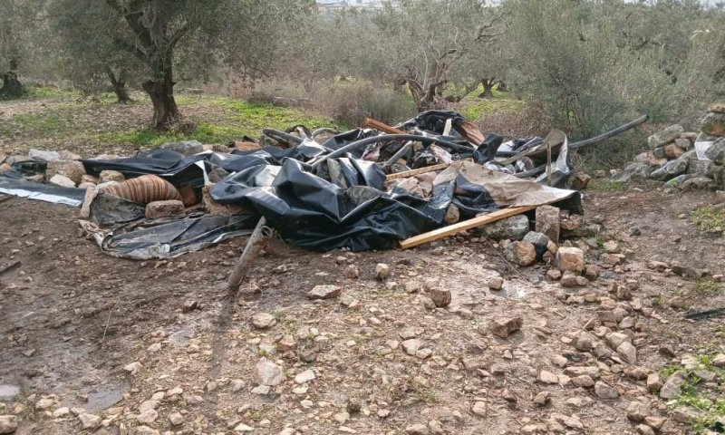 "בזמן שהטרור חוגג": כוחות צה"ל ומשטרה פינו גבעה בשומרון