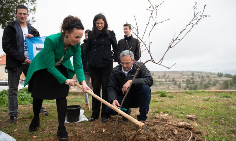 כך הולכים המועמדים: לפני הבחירות, יוצאים לנטיעות