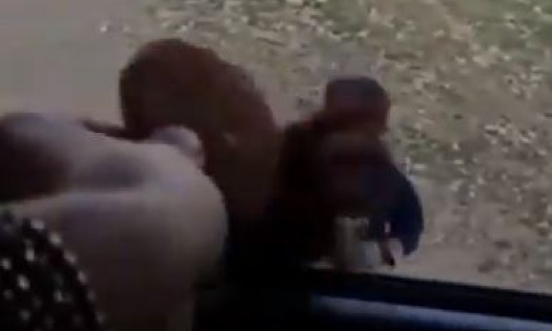 האב שאומר לילדיו: "מי רוצה להאכיל בדואי" התנצל