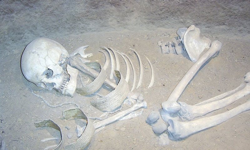 שבת חול המועד: מיהם אנשי חזון העצמות היבשות?