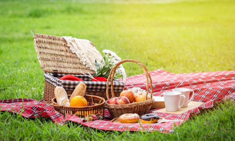 הבילוי המושלם לקורונה: 6 מתכונים טעימים לפיקניק