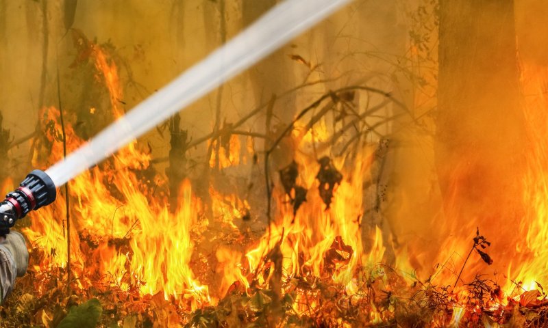 מקרון צייץ: "טרגדיה". 11 נכים נשרפו בצימר בצרפת