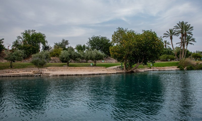 הורים לילדים: קבלו את הפארקים הכי שווים לחופש הגדול