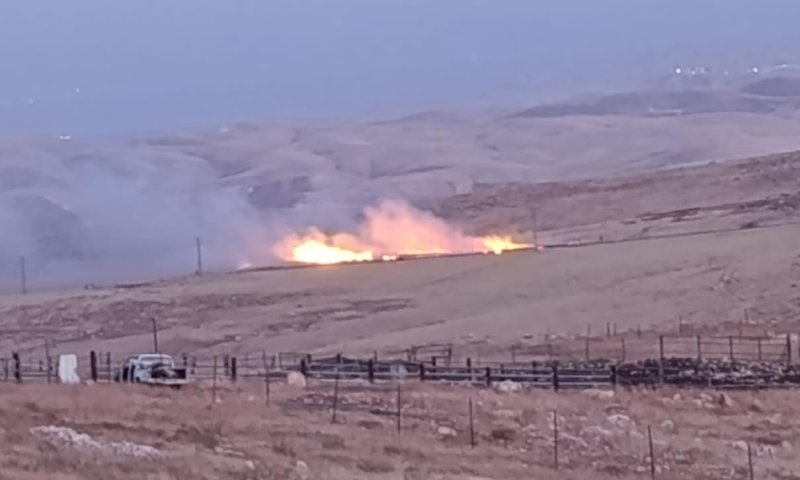 טרור ההצתות נמשך: מחבלים הציתו שטחי מרעה