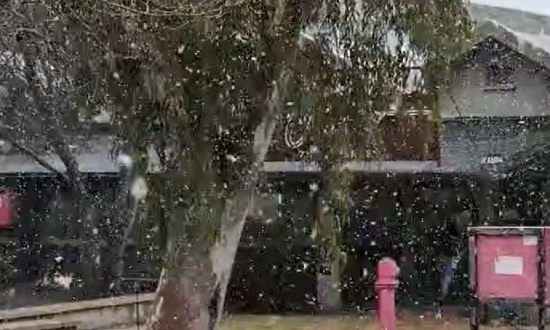 מרהיב: שלג כבד יורד כעת בצפון רמת הגולן