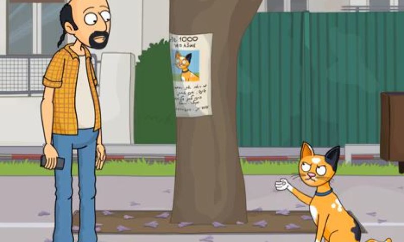 מצאתם חתול ברחוב? שימו לב לתנאים שלו