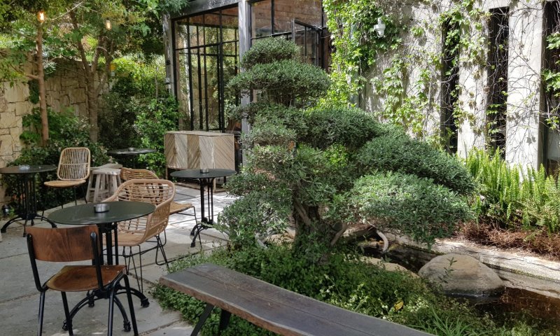 ביקורת מסעדות: חוויה אסיאתית בתוך הטבע