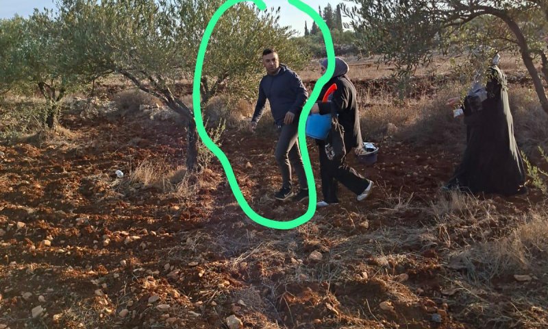 במסיק מתואם: בעל חווה בשומרון הותקף באבנים ונפצע באורח קל