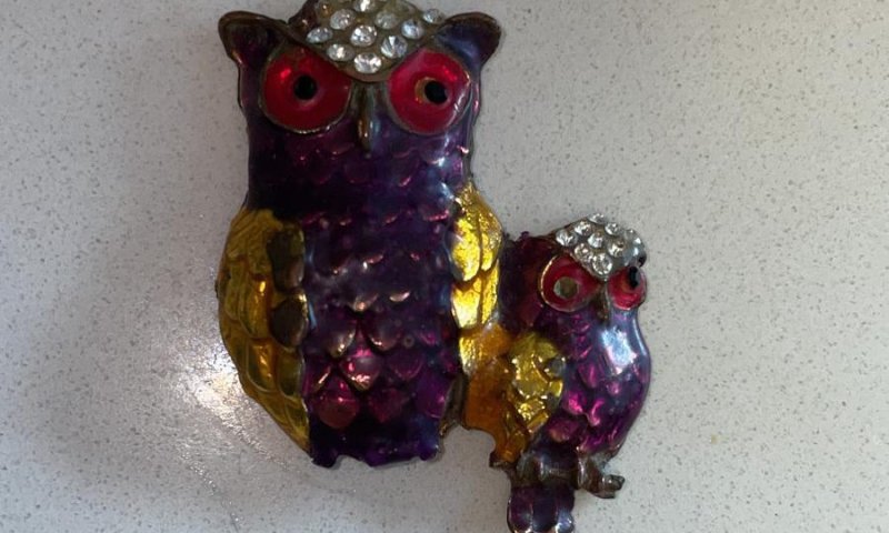 המרכז הרפואי מאיר: פעוט טופל לאחר שבלע מגנט