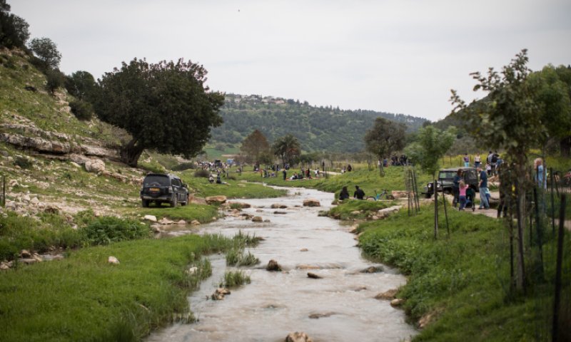 סוף עצוב: גופת גבר בן 80 אותרה בנחל ציפורי