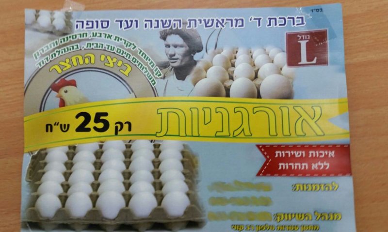 הביצים האורגניות בקרית ארבע הוברחו מהרשות