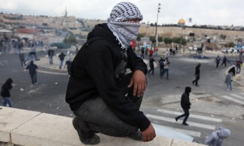 דו"ח מדאיג: עליה של כ-50% בפעילות החבלנית בהר הזיתים