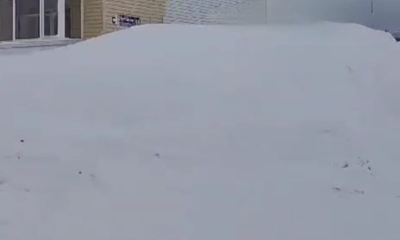 "הבתים נעלמו בשלג": סופת שלגים חריגה שיתקה את מזרח רוסיה