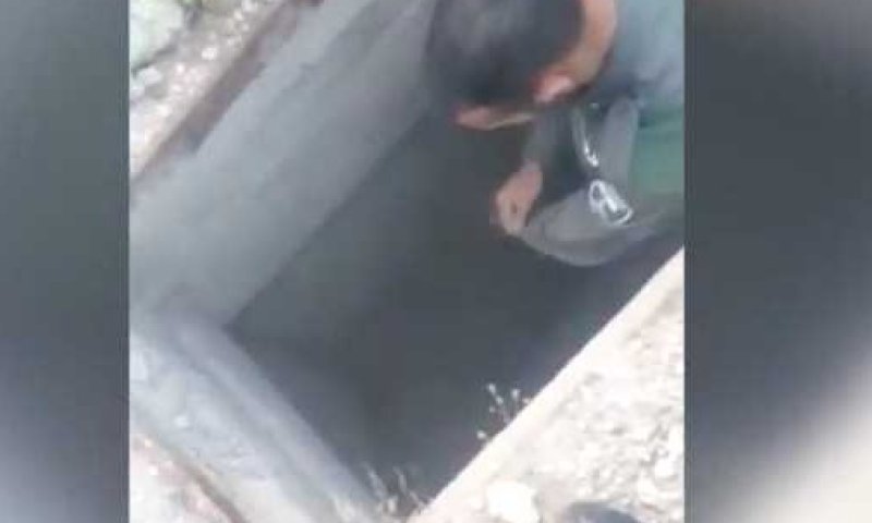 אלה הלוחמים שלנו: צפו במג"בניקים מחלצים צבי