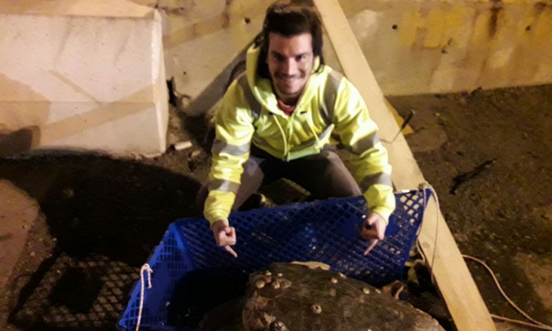 באמצע הלילה: עובדי נמל אשדוד מצילים חיים