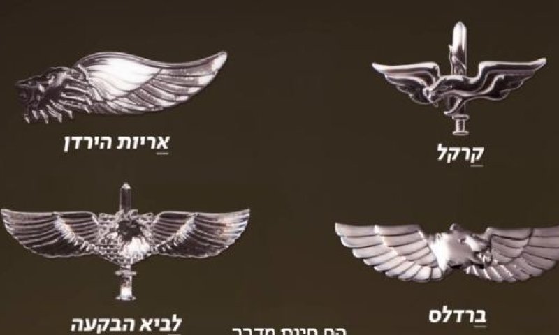 מדוע סיכות הלוחם בצה"ל מצמיחות כנפיים?