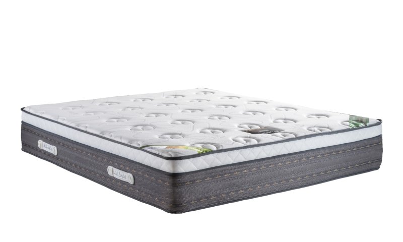 תפסיקו לחלום: המומחים של חלומות חושפים את הסודות