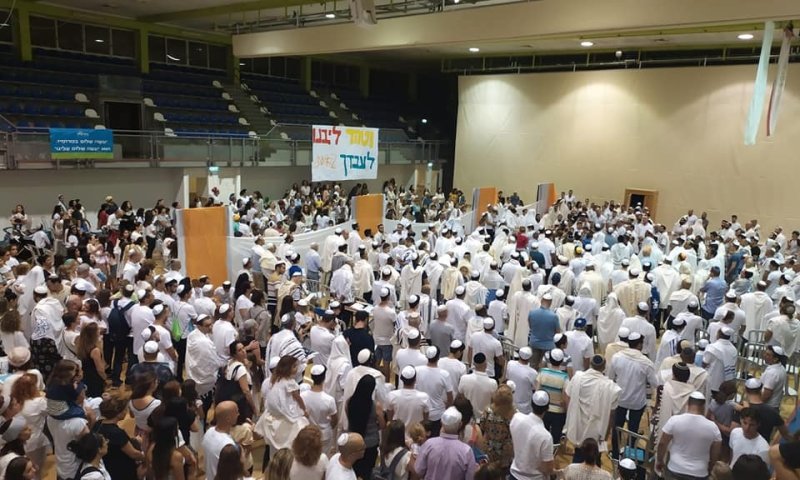 איך בזכות נהג אוטובוס ערבי צמתי לראשונה בחיי