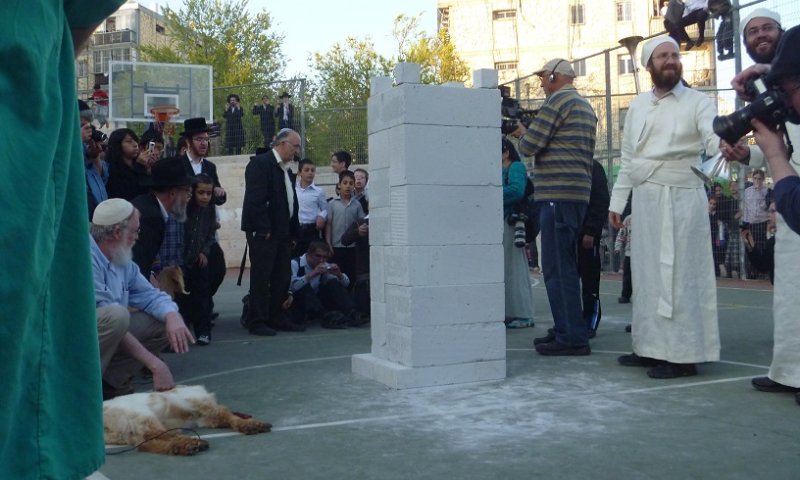 בית המשפט: לאפשר מעמד תירגול והכנה לקרבן פסח