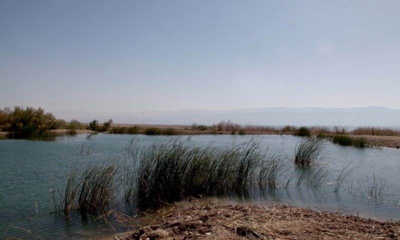 צעיר חרדי נפצע אנוש במעיין עין מודע