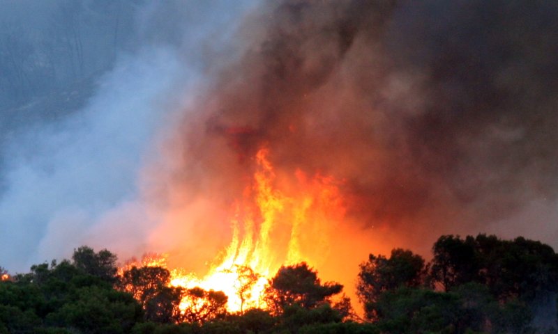 מדורה קשה: אלו השריפות המפורסמות בהיסטוריה