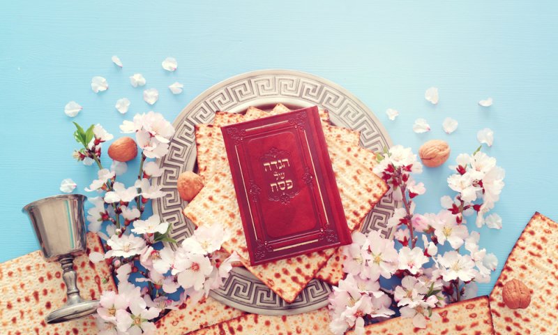 לקראת פסח: כל הספרים החדשים והמומלצים לילדים