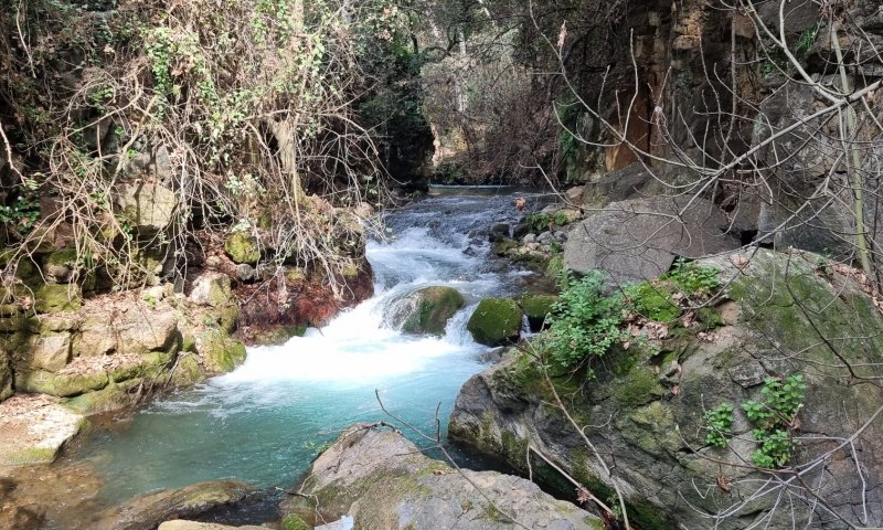 גילינו את מסלולי המים הכי יפים בארץ &ndash; בדיוק לחג הסוכות