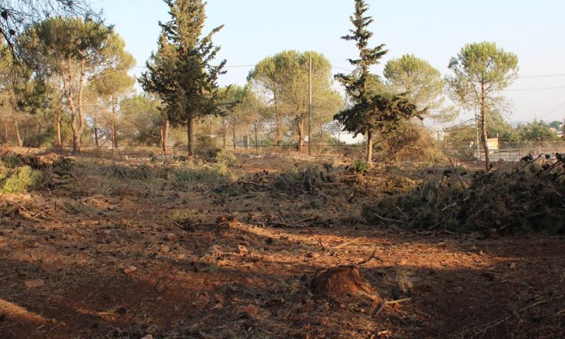 הדרך התמוהה של המנהל האזרחי להלחם בשריפות