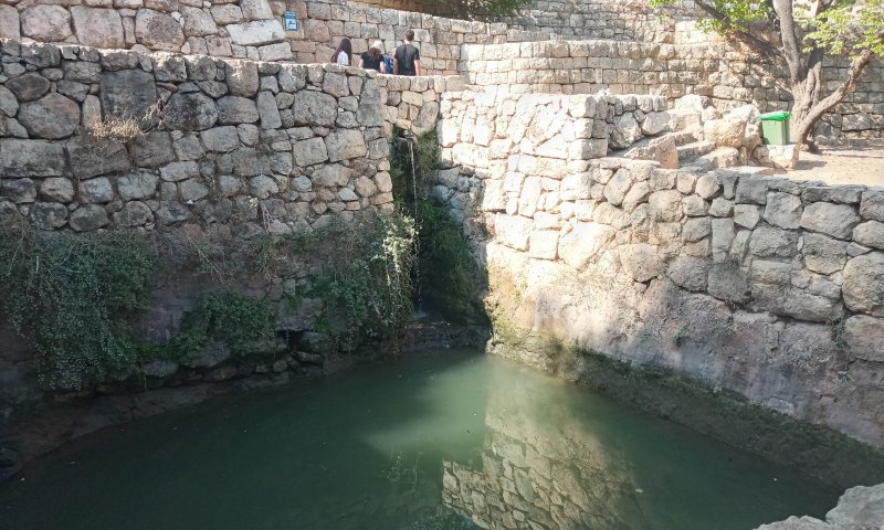 מהגולן ועד הנגב: טיולים מומלצים לחג הסוכות