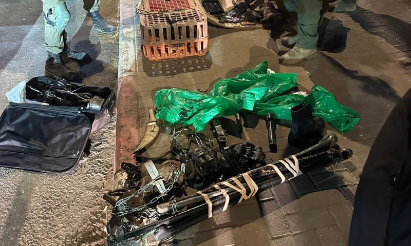 התחזו לחיילים וגידלו כלבים לתקיפה | אב ובנו נעצרו