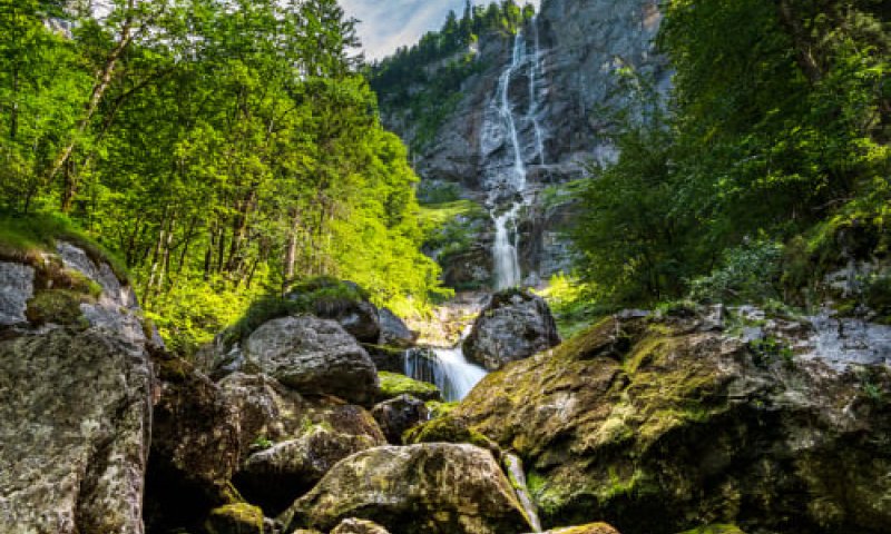 טרגדיה: אב ובנו נפלו מגובה ונהרגו לעיני האח