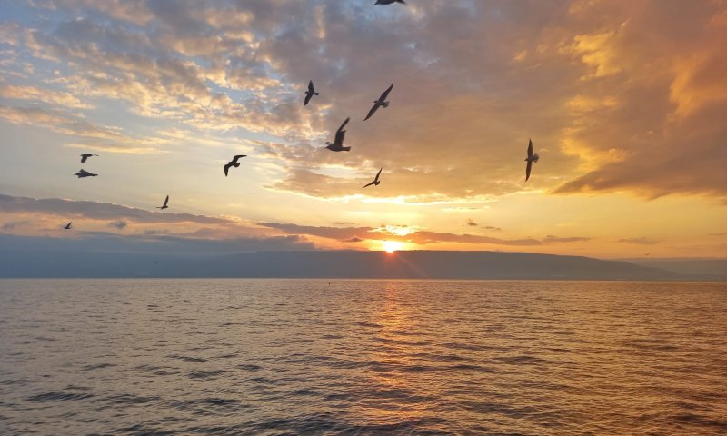 פאניקה בצפון: "לא זוכרים מצב כל כך גרוע"