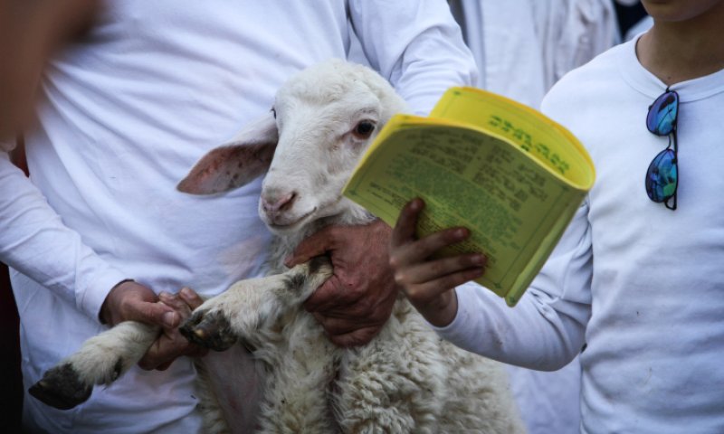 צפו: קצר על הפרשה | בבית המקדש ה-3 יהיו קורבנות?
