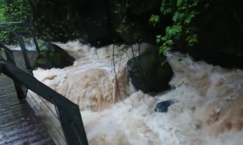 תיעוד מרהיב: זרימה אדירה בנחלי הצפון. צפו