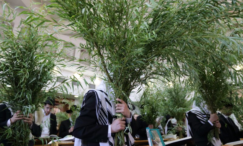 הדרך של עיריית ירושלים למכירת ערבות בזמן קורונה