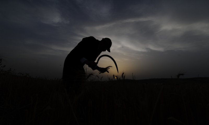 אנשי "ספירת העומר": לחבר בין התנועות החסרות