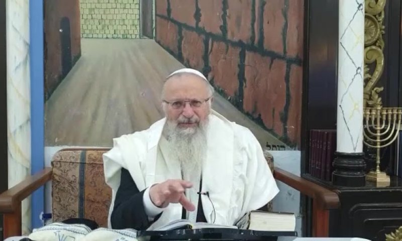 מה סוד העקשנות של הערבים להלחם בישראל?