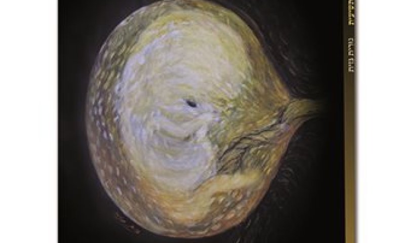 אחרי שמונה ילדים, נורית גזית עם 'לידה תשיעית'